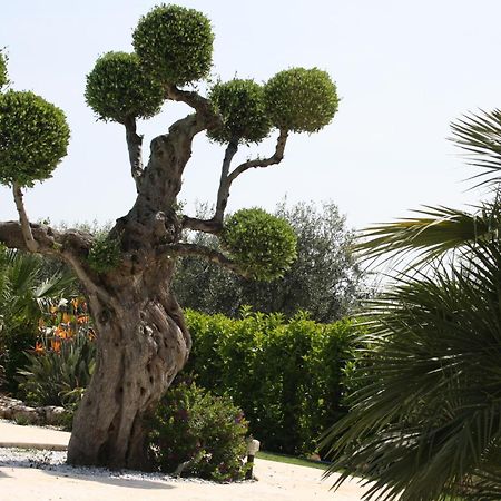 Villa Tonia Φαζάνο Εξωτερικό φωτογραφία